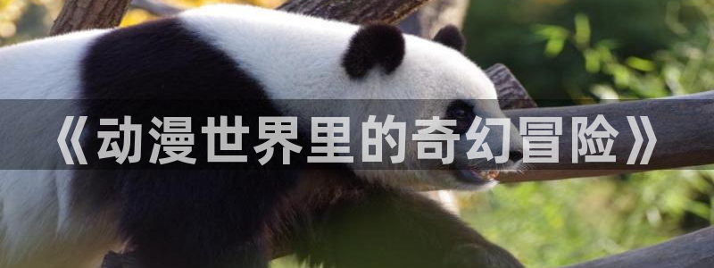 风车动漫官网入口免费观看