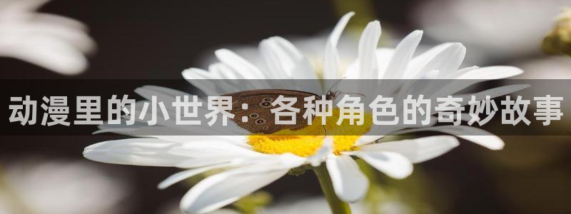 风车动漫官网专注动漫的门户网站高清